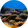 marine technology image